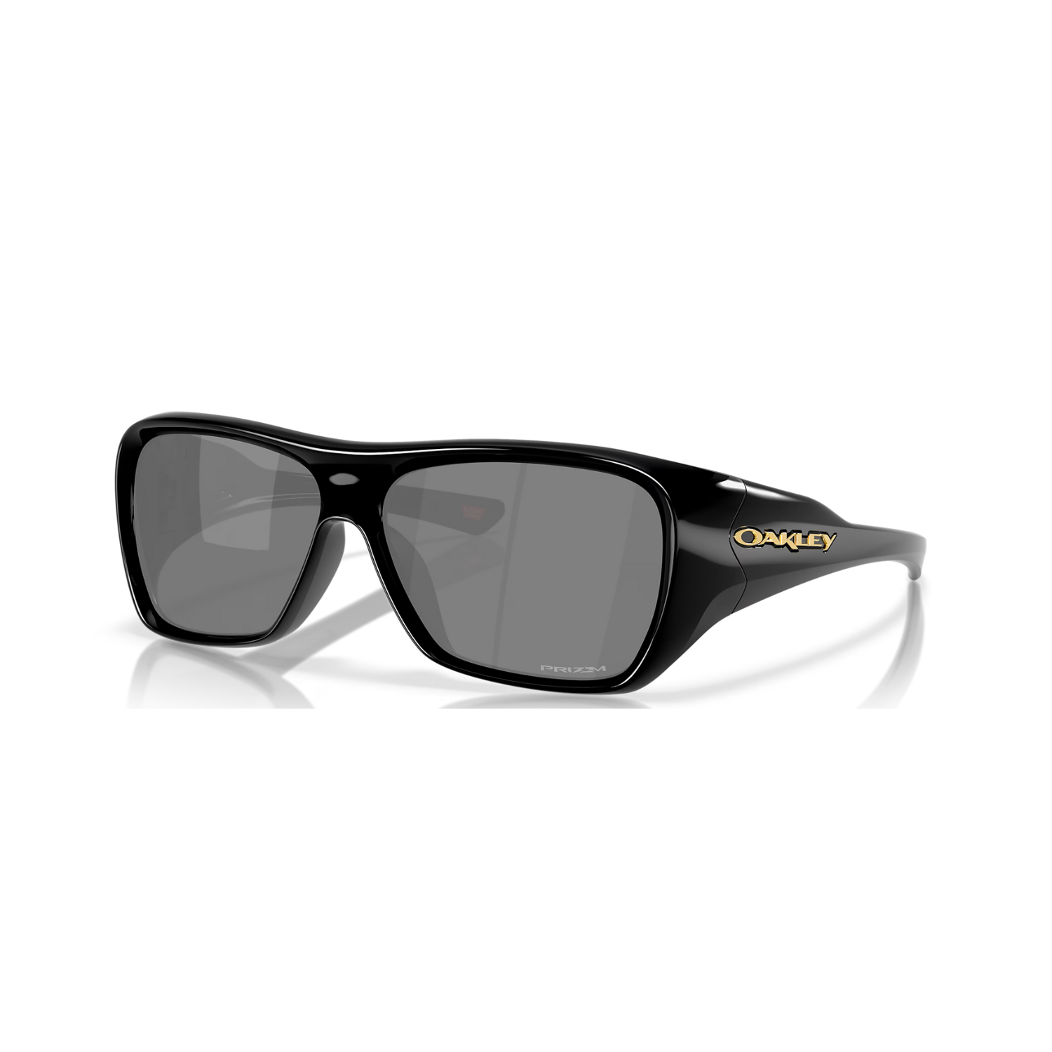 OAKLEY CHAMINADE USA製 偏光サングラス 黒 y2k Óculos Oakley Chaminade - Polished Black/ Prizm Black